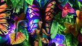 Nicht nur in Rio und  São Paulo, auch in anderen Städten des Landes wie in Salvador da Bahia im Nordosten Brasiliens wird die nächsten Tage über ausgiebig gefeiert.    