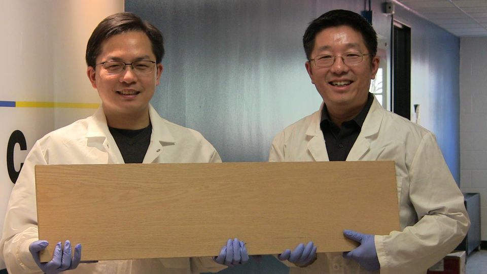 Nachwachsende Rohstoffe: Super-Holz – dieses Brett ist stärker als Stahl
