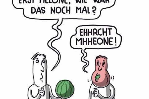 Zum Buch