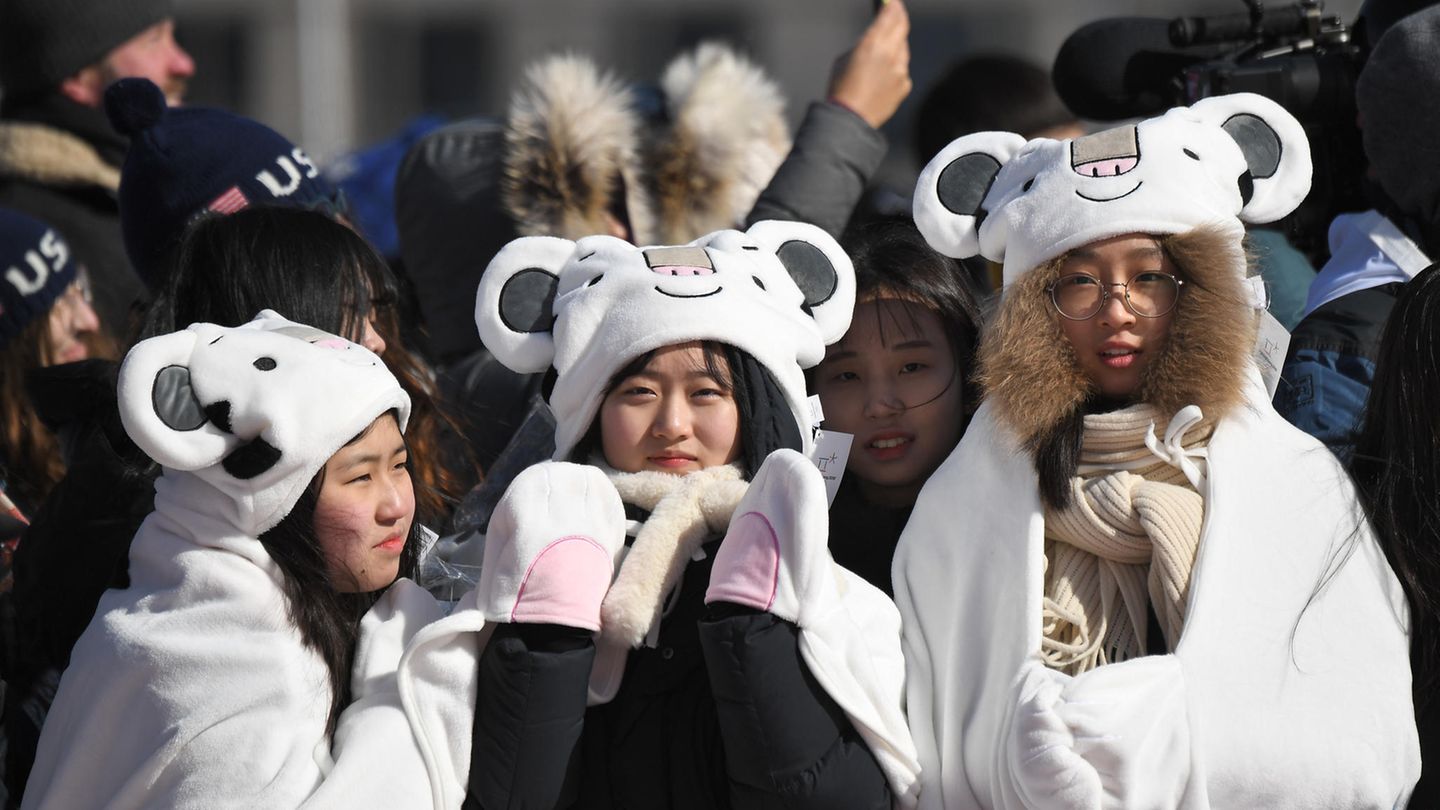 Geschmackssache: Koreanische Fans schauen sich den Snowboard-Slopestyle-Wettbewerb an und tragen das Maskottchen von Pyeongchang, den weißen Tiger Soohorang, auf dem Kopf.