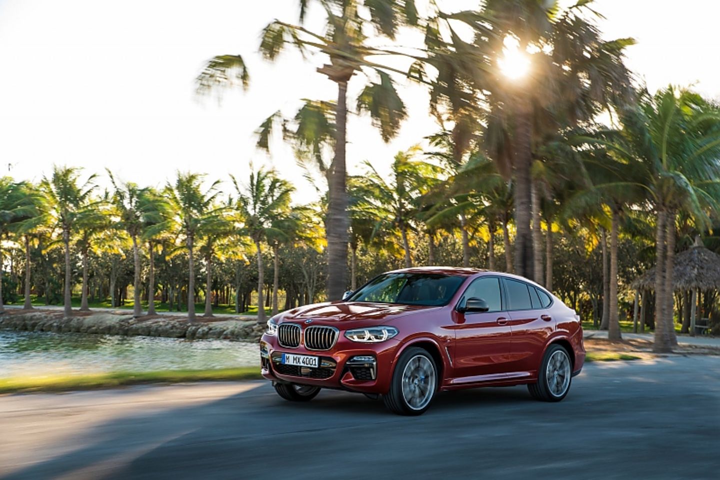 BMW X4 7