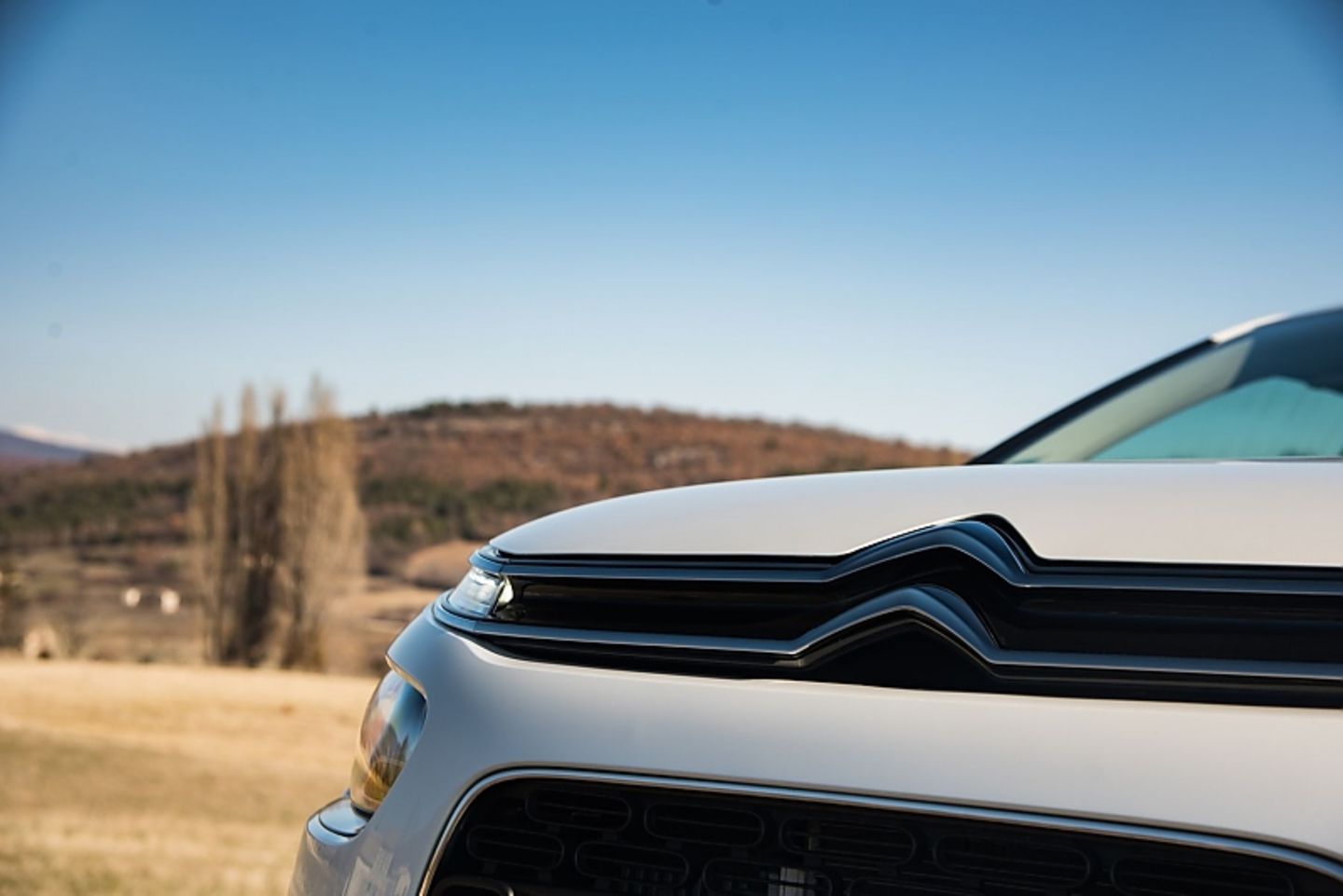 Der Citroën C4 Cactus ist ab 17.490 Euro zu haben