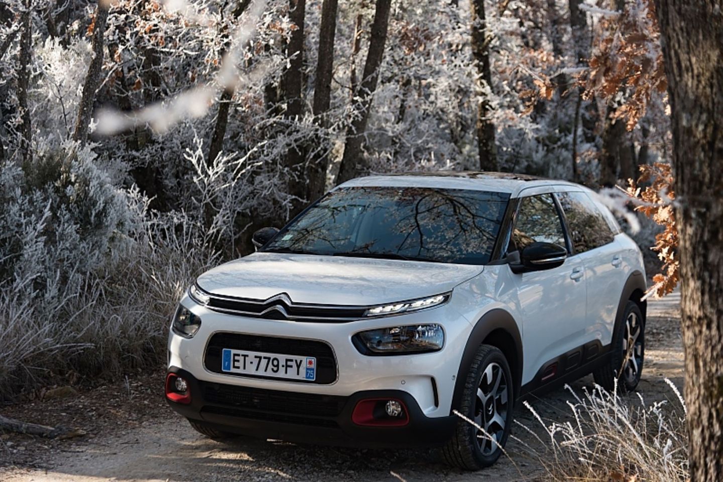 Der Citroën C4 Cactus steht ab dem 14. April beim Händler
