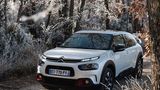 Der Citroën C4 Cactus steht ab dem 14. April beim Händler