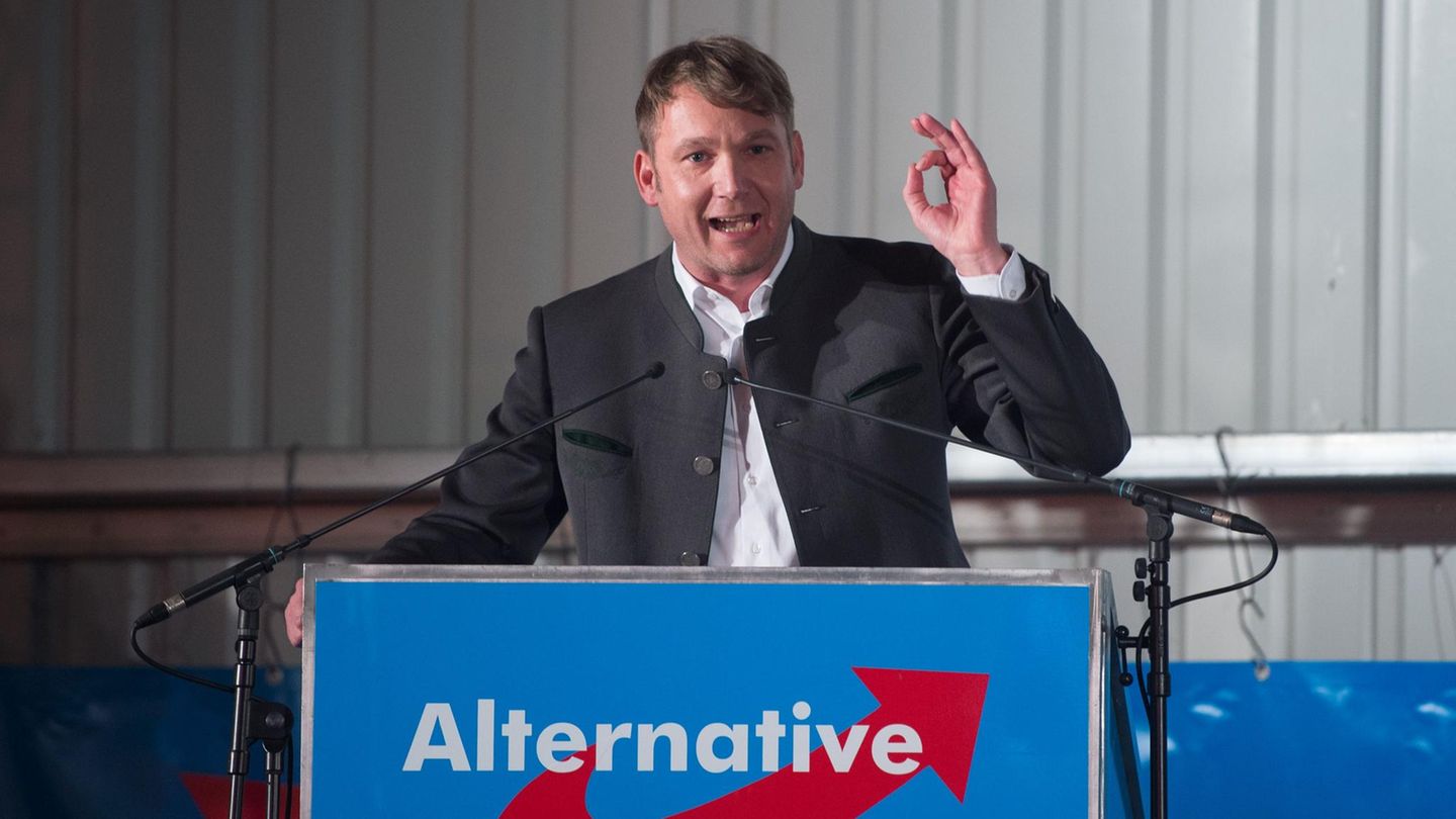 André Poggenburg, Vorsitzender der AfD in Sachsen-Anhalt