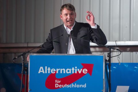André Poggenburg, Vorsitzender der AfD in Sachsen-Anhalt