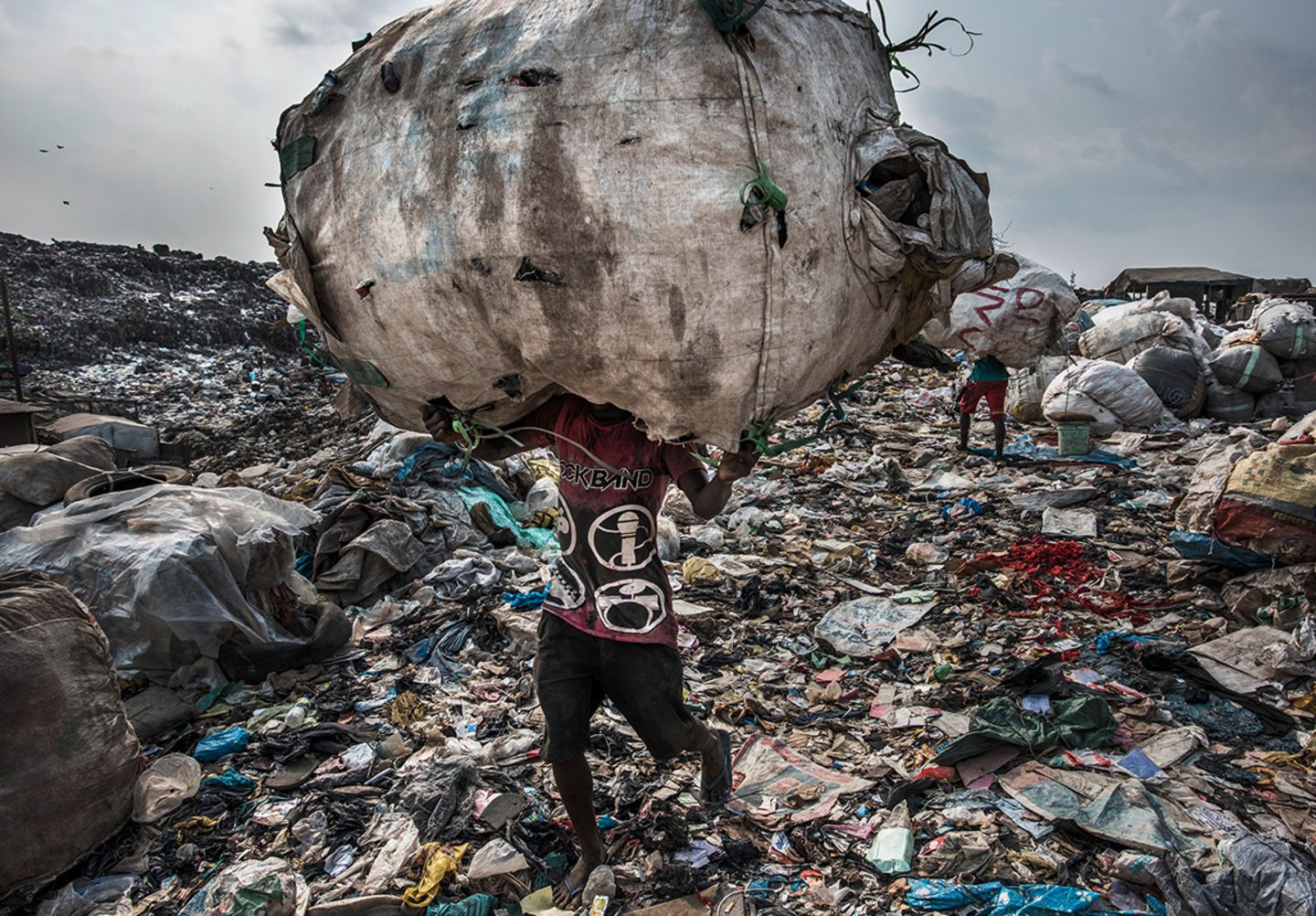 World Press Photo Nominiert in der Kategorie "Environment"