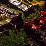 Nominiert für "World Press Photo of the Year"