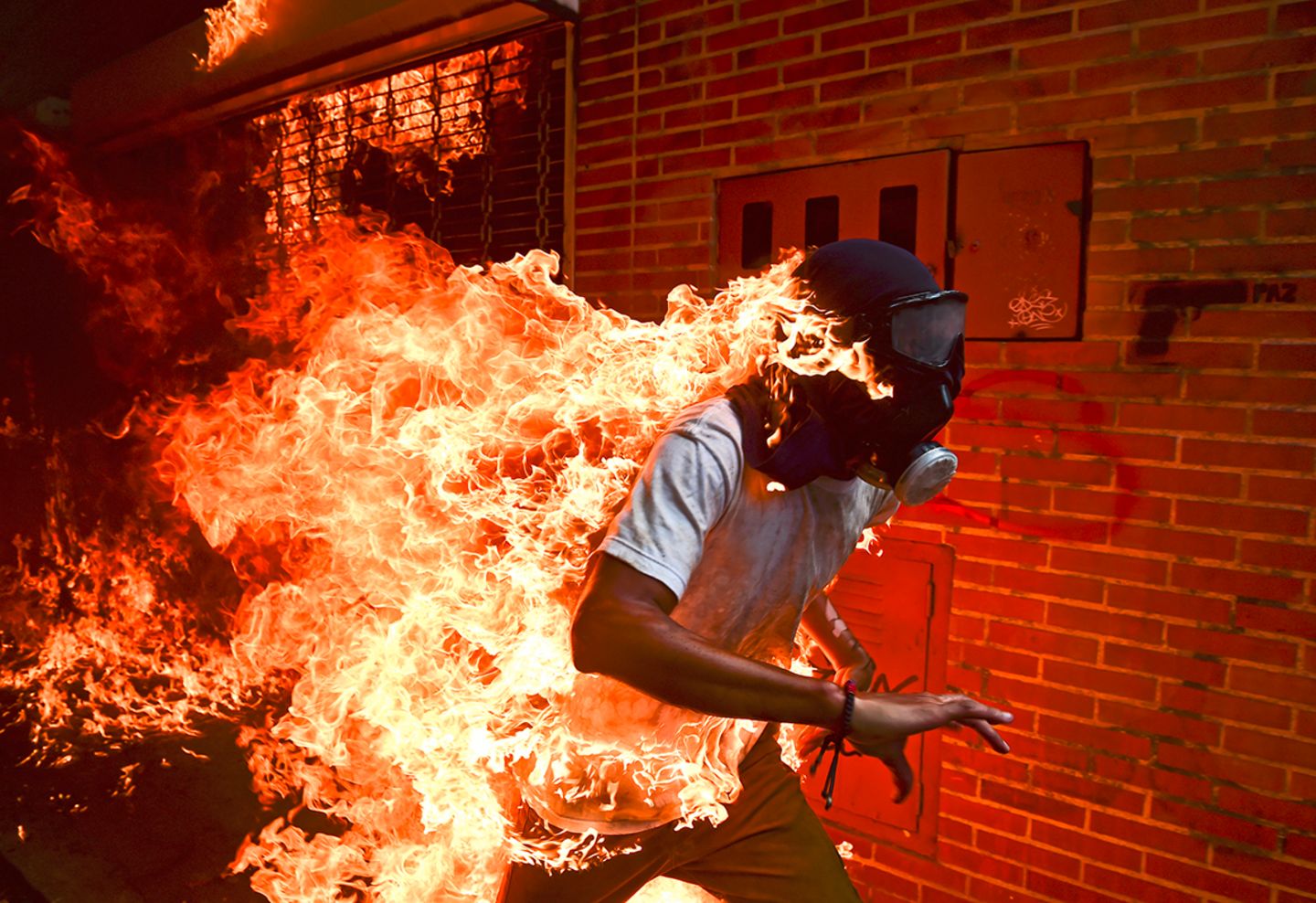 World Press Photo Nominiert für "World Press Photo of the Year"