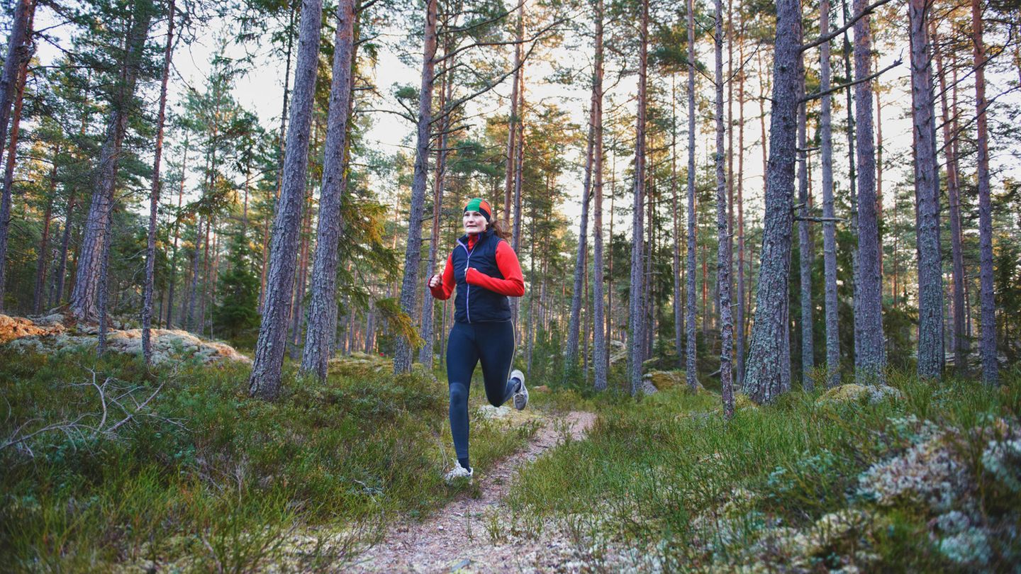 Coole Idee: Die Schweden räumen ihr Land im Laufen auf – und nennen es Plogging