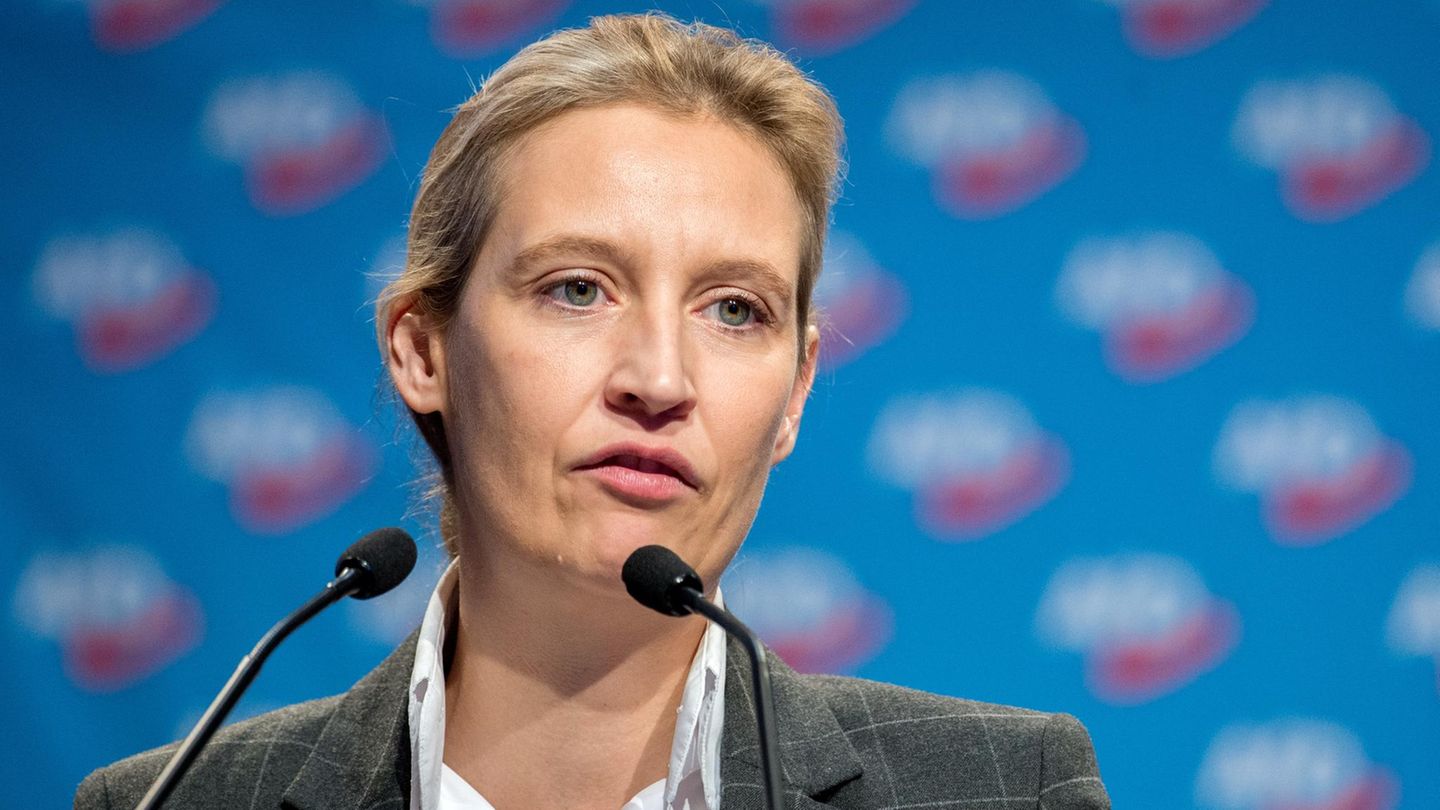 AfD-Fraktionsvorsitzende Alice Weidel steht an zwei Mikrofonen