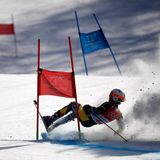Verfahren: Die australische Skiläufer Harry Laidlaw bleibt an einem Riesen-Slalomtor hängen. Aber was macht ein Australier auch auf einer schneebedeckten Piste?