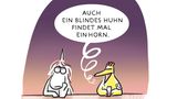 Zum Buch