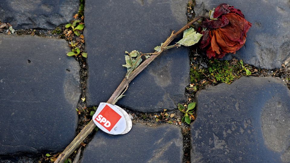 SPD fällt erstmals hinter AfD: Umfrage-Schock für Sozialdemokraten