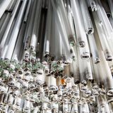 ... oder Leuchtstoffröhren.