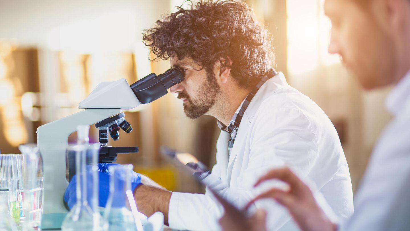 Naturwissenschaftliche Forschung und Labor