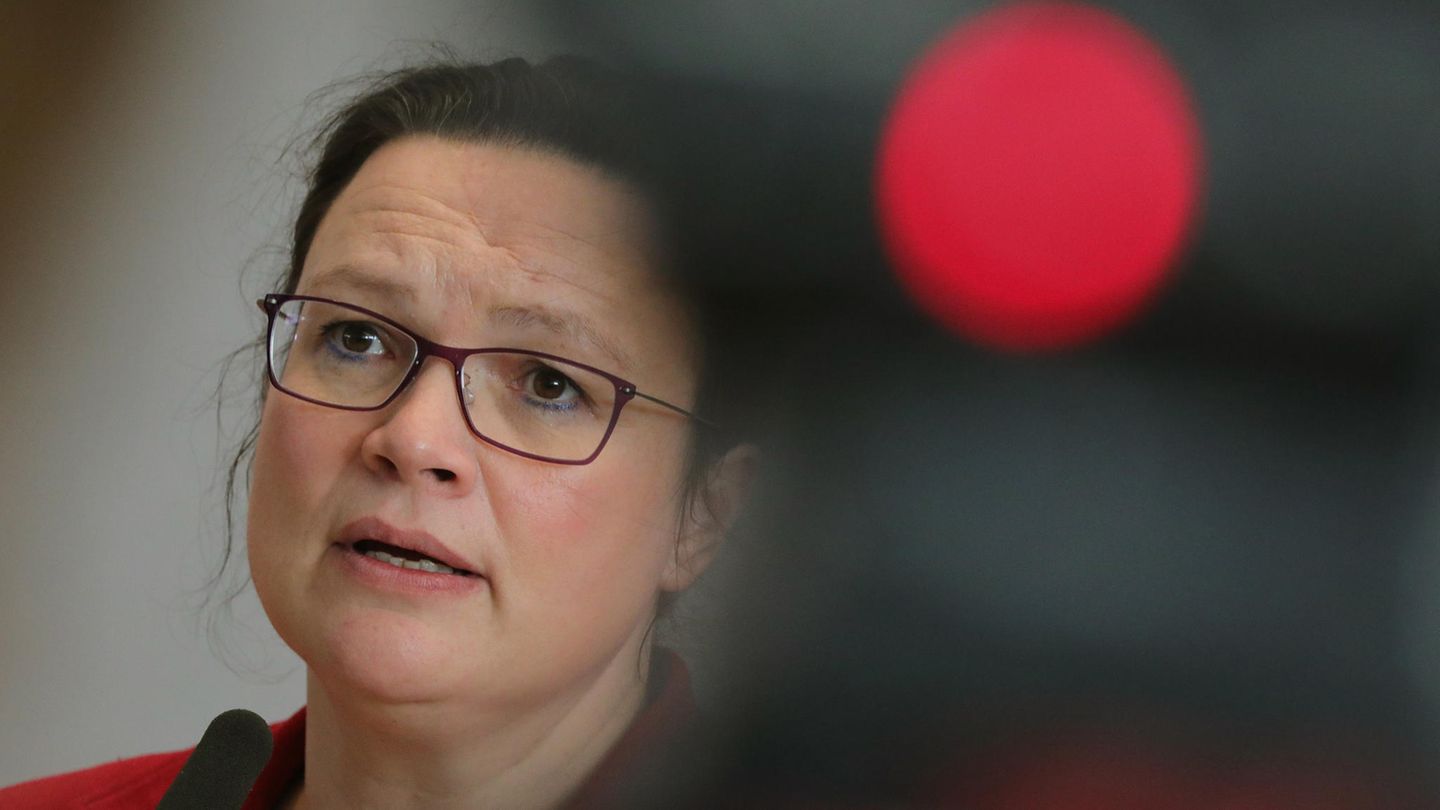 "Die Leute wollen das Land ja nicht in die Hand von Hasardeuren geben", sagt Andrea Nahles zum Mitgliedsentscheid der SPD.