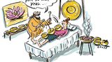 Neues Buch: So lustig kann Musik sein