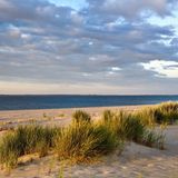 Ellenbogen bei List auf Sylt