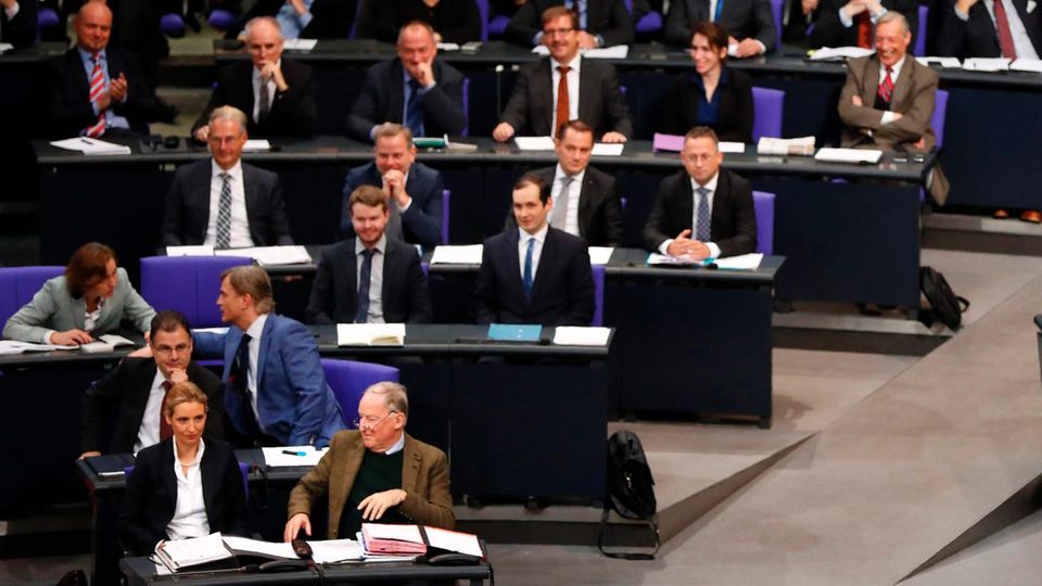 Annäherung an Pegida?: Die AfD-Fraktion im Bundestag Die AfD-Fraktion im Bundestag