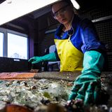 Geübter Blick: Eine Mitarbeiterin steht am Förderband und zieht "Störstoffe" aus den Scherben. Plastiktüten, Porzellan und Steingut haben im Altglas nichts verloren. Immer wieder fischen die Mitarbeiter auch kuriose Gegenstände aus den Scherben, wie Autoschlüssel oder Portemonnaies. Auch eine Pistole war schon dabei.