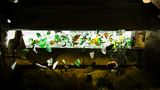 Tanzendes Glas: Kameras prüfen jede einzelne Scherbe. Sie aktivieren Luftventile, die bunte Scherben aus dem Weißglas pusten und umgekehrt. Auch Porzellan und stark verschmutztes Glas werden auf diese Weise aussortiert.