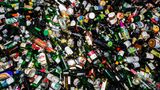 Fuhre mit Grünglas: Verbraucher werfen auch weiße Flaschen ins Buntglas - und umgekehrt. Hier etwa die leeren Nutella-Gläser. Ganze Flaschen werden von Hand aussortiert. Um kleinere Scherben kümmern sich die Maschinen.