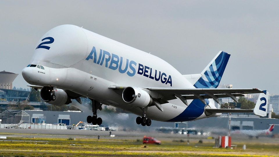 Beluga von Airbus