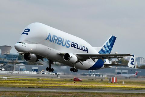 Beluga von Airbus