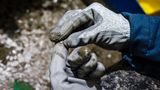 Störstoff Porzellan: In einer Tonne Altglas dürfen maximal 25 Gramm der sogenannten "KSP"-Fraktion enthalten sein. In der Wahlstedter Glashütte der Ardagh Group gelten noch strengere Richtlinien: Hier dürfen es sogar nur 20 Gramm sein. 