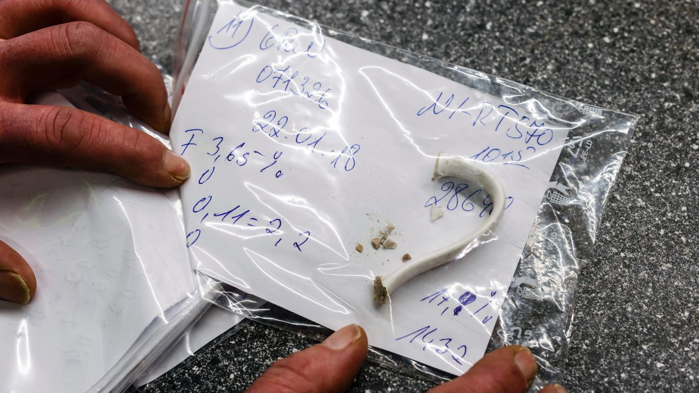 Schon der Fund eines einzelnen Tassenhenkels genügt, um eine ganze Wagenladung unbrauchbar zu machen. Die Fuhre wird dann zurück zur Glasrecyclinganlage gebracht und muss noch einmal durch die Anlage.