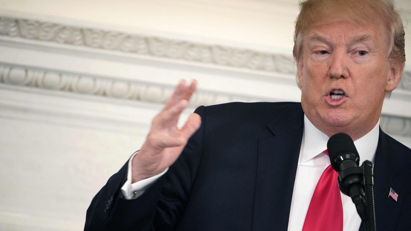Donald Trump Dreamer