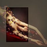 Bildband "Nudes in Steel" von Yoram Roth