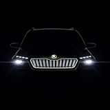 Beim Skoda Vision X ist die Front markant