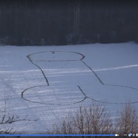 Penis im Schnee von Lößnitz