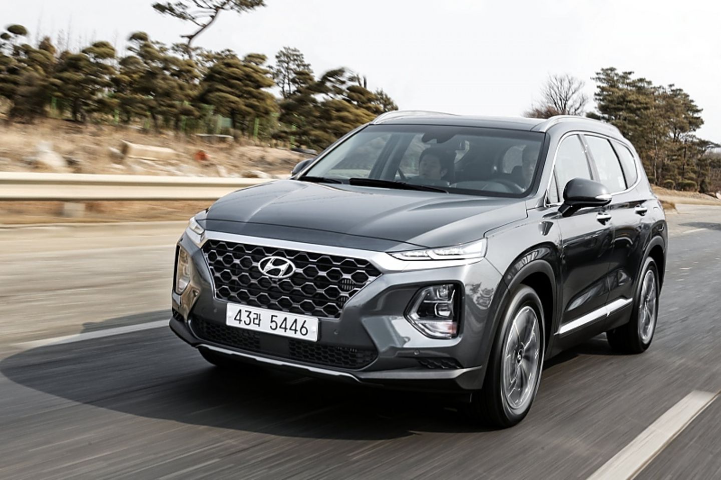 Hyundai Santa Fe 2.0 D - maximal 201 km/h schnell