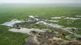 Sudd, die riesige Sumpflandschaft nahe der Grenze zwischen Nord- und Südsudan