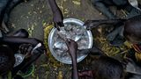 Eine Schüssel Hirsebrei für viele Kinder. Das Getreide ist im Südsudan eines der Grundnahrungsmittel; wie eine Erinnerung an bessere Zeiten