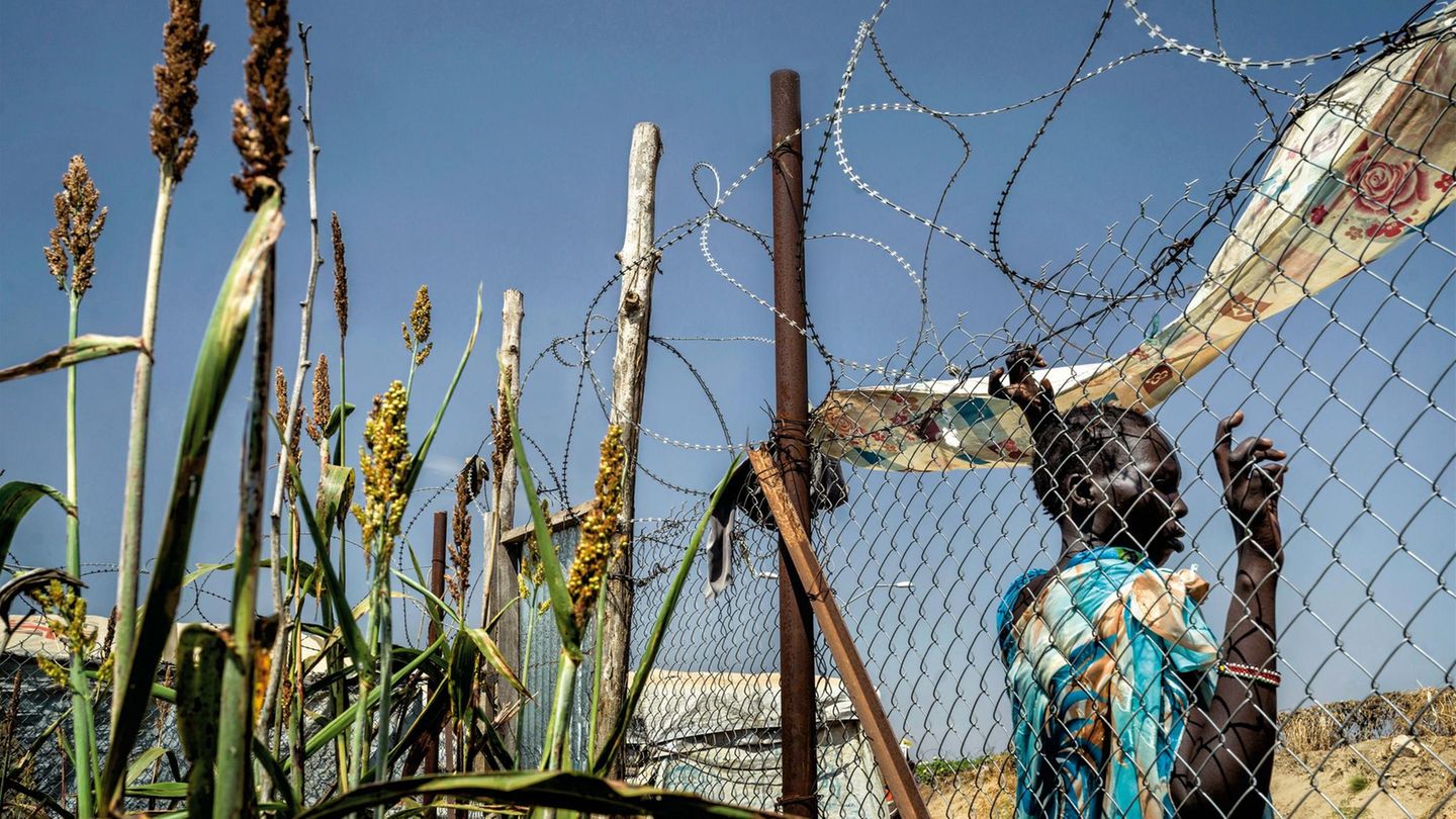 In einer mit Stacheldraht bewehrten Ecke des Flüchtlingslagers von Juba bauen die UN-Helfer ein wenig Hirse an