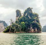 Khao Sok  Dichter Dschungel, heiße Quellen, und der vermutlich älteste Regenwald der Welt. Nur zwei Autostunden entfernt vom ebenso berühmten wie inzwischen berüchtigten Charterziel Phuket lockt an der südlichen Westküste Thailands weithin unbekannte Natur. Im Khao Sok Nationalpark leben Affen und Elefanten und Tiger. Man kann über Tage – auf geführten Touren – durch den Busch streifen, zu Fuß oder im Kajak. Und wer zudem erfahren will, wie eine moderne Schule aussehen kann, mietet sich in der Yaowawit School & Lodge ein. Die Schule liegt am Rand des Dschungels und wurde nach dem Tsunami vom Hamburger Unternehmer Philipp Graf von Hardenberg für Waisenkinder gegründet. Sie gilt heute weltweit als Pilotprojekt. Khao Sok ist ein Erlebnis für alle Sinne, und paradox exotisch: so ruhig und doch voller Geräusche. Aufregend.  Yaowawit School & Lodge in Kapong: Hier können Gäste für einige Tage am Gemeinschaftsleben teilnehmen. DZ/VP ab ca. 66 Euro, www.yaowawit.org