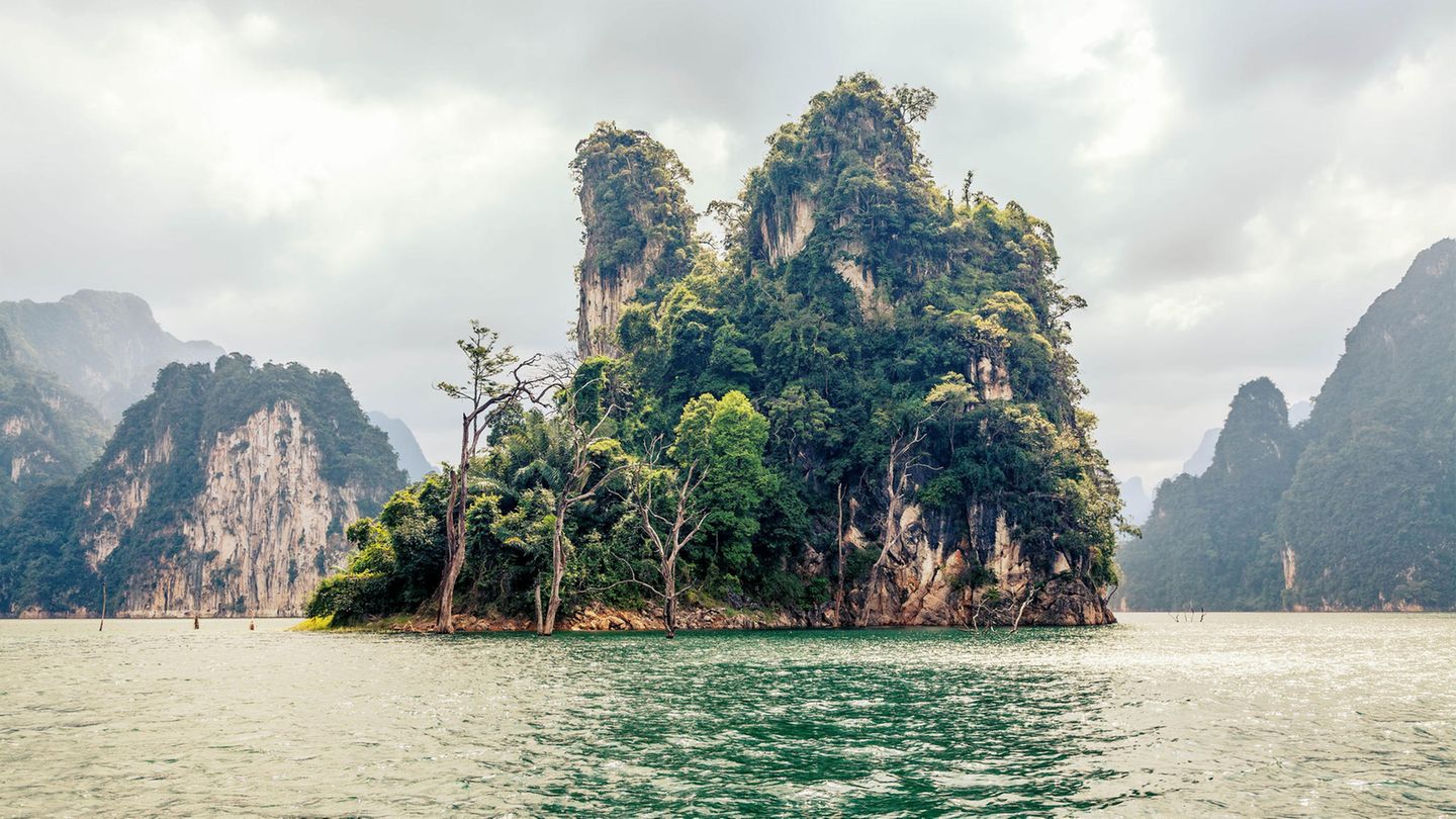 Traumziele weltweit: Khao Sok Dichter Dschungel, heiße Quellen, und der vermutlich älteste Regenwald der Welt. Nur zwei Autostunden entfernt vom ebenso berühmten wie inzwischen berüchtigten Charterziel Phuket lockt an der südlichen Westküste Thailands weithin unbekannte Natur. Im Khao Sok Nationalpark leben Affen und Elefanten und Tiger. Man kann über Tage – auf geführten Touren – durch den Busch streifen, zu Fuß oder im Kajak. Und wer zudem erfahren will, wie eine moderne Schule aussehen kann, mietet sich in der Yaowawit School & Lodge ein. Die Schule liegt am Rand des Dschungels und wurde nach dem Tsunami vom Hamburger Unternehmer Philipp Graf von Hardenberg für Waisenkinder gegründet. Sie gilt heute weltweit als Pilotprojekt. Khao Sok ist ein Erlebnis für alle Sinne, und paradox exotisch: so ruhig und doch voller Geräusche. Aufregend. Yaowawit School & Lodge in Kapong: Hier können Gäste für einige Tage am Gemeinschaftsleben teilnehmen. DZ/VP ab ca. 66 Euro, www.yaowawit.org Khao Sok Dichter Dschungel, heiße Quellen, und der vermutlich älteste Regenwald der Welt. Nur zwei Autostunden entfernt vom ebenso berühmten wie inzwischen berüchtigten Charterziel Phuket lockt an der südlichen Westküste Thailands weithin unbekannte Natur. Im Khao Sok Nationalpark leben Affen und Elefanten und Tiger. Man kann über Tage – auf geführten Touren – durch den Busch streifen, zu Fuß oder im Kajak. Und wer zudem erfahren will, wie eine moderne Schule aussehen kann, mietet sich in der Yaowawit School & Lodge ein. Die Schule liegt am Rand des Dschungels und wurde nach dem Tsunami vom Hamburger Unternehmer Philipp Graf von Hardenberg für Waisenkinder gegründet. Sie gilt heute weltweit als Pilotprojekt. Khao Sok ist ein Erlebnis für alle Sinne, und paradox exotisch: so ruhig und doch voller Geräusche. Aufregend. Yaowawit School & Lodge in Kapong: Hier können Gäste für einige Tage am Gemeinschaftsleben teilnehmen. DZ/VP ab ca. 66 Euro, www.yaowawit.org