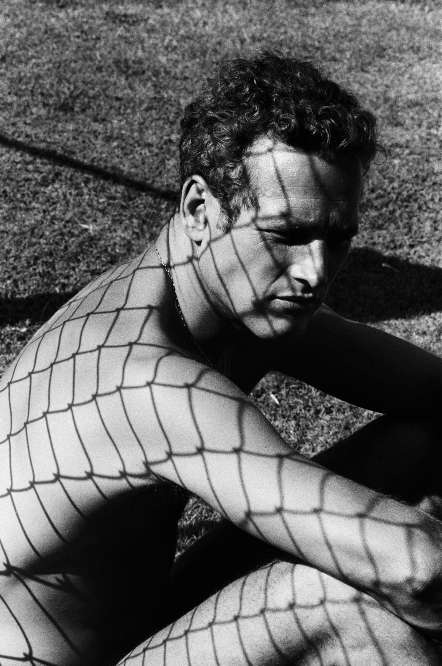 Bildband Dennis Hopper: Fotos aus den 1960ern, Paul Newman