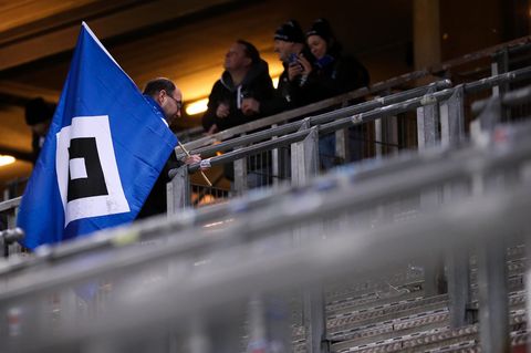 HSV-Fan