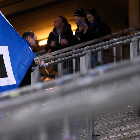 HSV-Fan