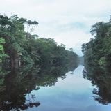 Tortuguero  Am Strand des abgeschiedenen Dorfs an Costa Ricas Karibikküste legen Tausende Meeresschildkröten zwischen Juni und Oktober ihre Eier in den Sand. Zwei Monate später buddeln sich die geschlüpften Babys aus und krabbeln ins Meer, dabei kann man ihnen zuschauen. Den Rest der Zeit lohnen sich geführte Touren durch den Regenwald, um von dort aus allerlei Vögel, Krokodile oder Brüll- und Klammeräffchen zu beobachten. Überhaupt fühlt man sich hier, als sei man mitten in der Wildnis: Straßen gibt es nicht, die Anreise führt mit dem Boot über den Fluss.  Casa Marbella: sehr einfaches Bed & Breakfast. DZ/F ab ca. 32 Euro, casamarbella.tripod.com