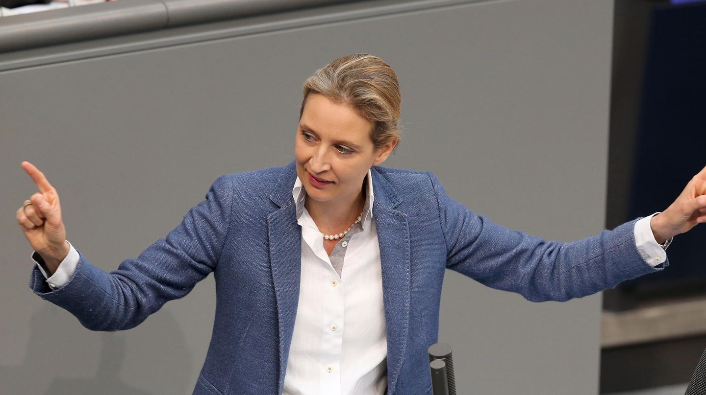 AfD-Fraktionschefin Alice Weidel spricht im Deutschen Bundestag