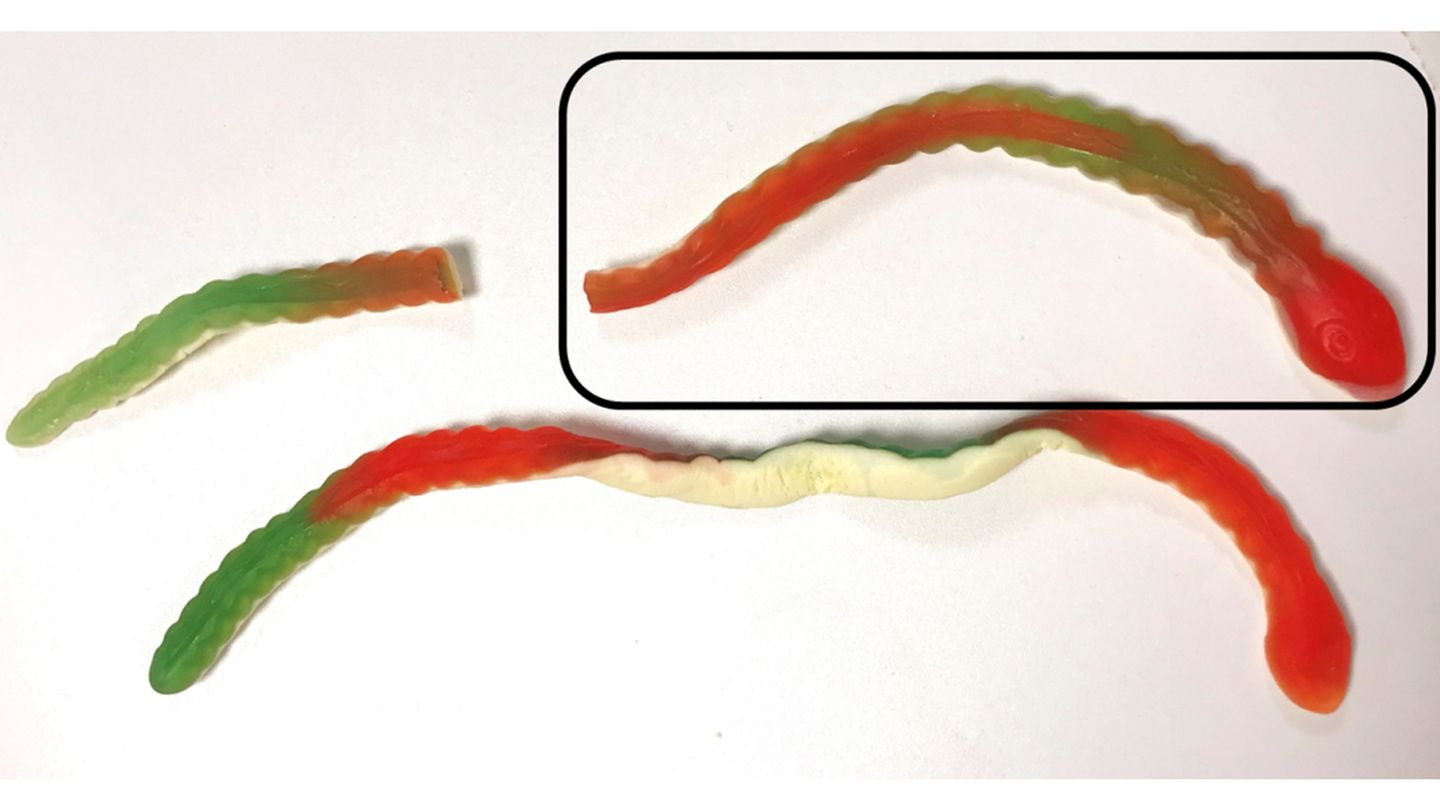 Diese Fruchtgummischlange von Haribo wiegt 40 Gramm. Auf der Packung steht aber nicht der Zuckergehalt für eine ganze Schlange, sondern für die empfohlene Portion von 25 Gramm. Das sieht dann nicht ganz so ungesund aus - auch wenn die meisten natürlich trotzdem die ganze Schlange verspeisen werden.