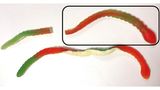 Diese Fruchtgummischlange von Haribo wiegt 40 Gramm. Auf der Packung steht aber nicht der Zuckergehalt für eine ganze Schlange, sondern für die empfohlene Portion von 25 Gramm. Das sieht dann nicht ganz so ungesund aus - auch wenn die meisten natürlich trotzdem die ganze Schlange verspeisen werden.