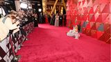 Oscar 2018: Die schönsten und schrägsten Bilder der Verleihung