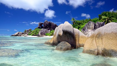 Praslin & La Digue, Seychellen: Traumstrände und anzügliche Pflanzen  Man wird kaum schönere Strände finden als die der Seychellen, mit Felsen gesprenkelt und mit pulverfeinem Sand. Zwischen Mahe, Praslin und La Digue schippern Fähren, sodass man seine Flitterwochen auf mehrere Inseln verteilen kann. Das kleine La Digue ist autofrei, in Praslin gibt es gute Restaurants und das Naturreservat Vallee de Mai, wo man unter Seychellenpalmen schlendern und über die anzügliche Form ihrer Samen kichern kann.
